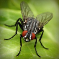 /album/dr-pietro-marsico/photolia-a01-jpg/