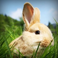 /album/dr-pietro-marsico/photolia-a03-jpg/