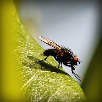 /album/dr-pietro-marsico/photolia-a04-jpg/