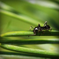 /album/dr-pietro-marsico/photolia-a05-jpg/