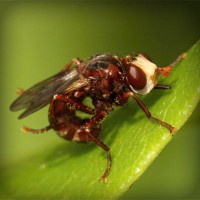 /album/dr-pietro-marsico/photolia-a06-jpg/