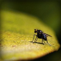 /album/dr-pietro-marsico/photolia-a07-jpg/